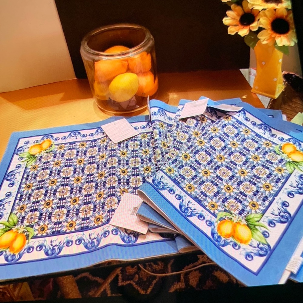 5 Placemats Brand New with Labels. Modern Southern Home Al Fresco Blue & White.